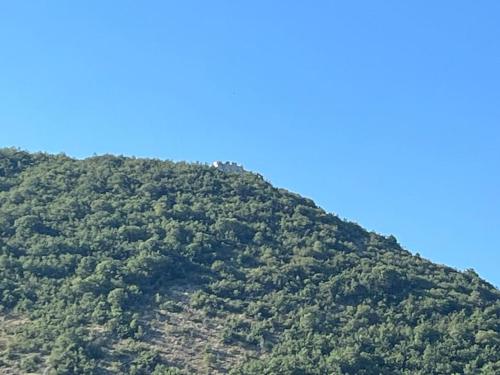 a hill covered in trees with a blue sky in the background at Planinska kuća Lazović in Kotor