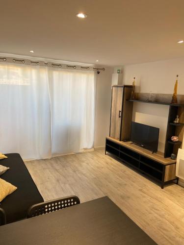 salon z telewizorem z płaskim ekranem i kanapą w obiekcie Joli T2 avec jacuzzi w mieście Saint-Victoret