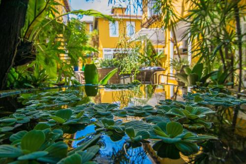 a pool of water with plants in a garden at La Chimère Buzios Essence in Búzios