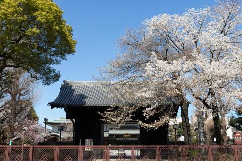 Hotel Kototoi Juku