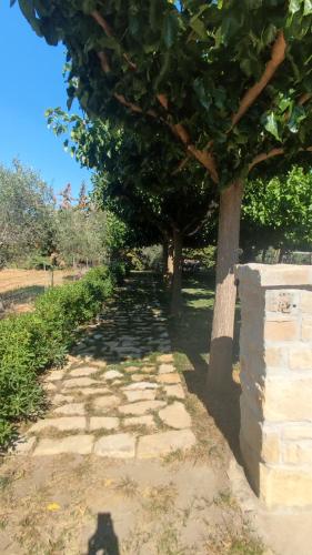 Сад в Aliki Serenity Cottage