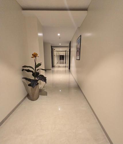 a hallway with a potted plant and a long corridor at Western Hotel in Chandrapur