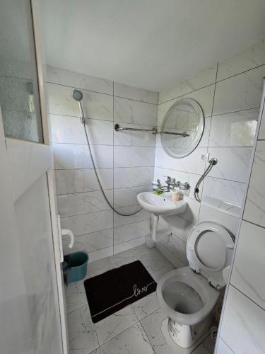 a white bathroom with a toilet and a sink at Srebrna dolina in Kremna