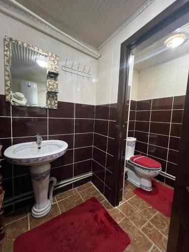 a bathroom with a sink and a toilet at SIA Guest House in Naryn