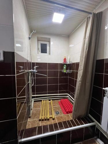 a bathroom with a shower with a red mat at SIA Guest House in Naryn