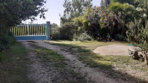 a driveway with a blue gate in a yard at Isuedda in Marrùbiu