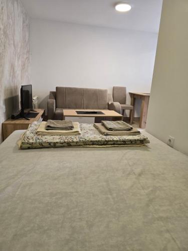 a living room with a couch and a couch at Srebrna dolina in Kremna
