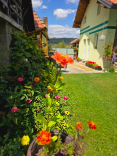 a garden with colorful flowers in a yard at Srebrna dolina in Kremna