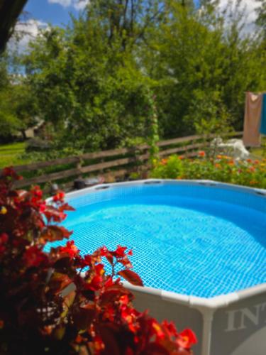 a large blue swimming pool in a yard with flowers at Srebrna dolina in Kremna