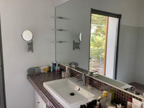 une salle de bain avec un lavabo et un miroir dans l'établissement Grande Villa jardin et piscine à Endoume, à Marseille
