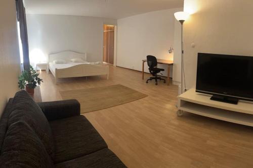 TV a/nebo společenská místnost v ubytování Cozy apartment