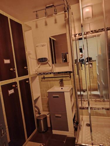La petite salle de bains est pourvue d'une douche et d'un lavabo. dans l'établissement CAEN PORT CENTeR, à Caen