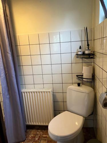 a bathroom with a white toilet and a radiator at Natuurhuisje Eartswoud in Aartswoud