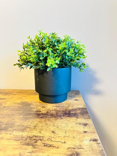 a blue potted plant sitting on top of a table at Comfort Suite in Manchester in Stalybridge