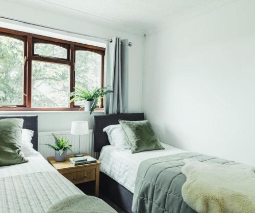 two beds in a room with two windows at Birchwood Cottage with hot tub in Valley