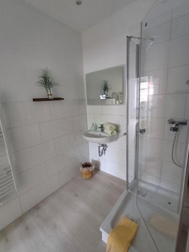 a bathroom with a shower and a sink at Landhaus Tewel Hotel mit Restaurant 14KM vom Heide-Park in Tewel