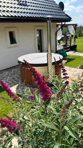 Κήπος έξω από το Domek Babiogórski z JACUZZI
