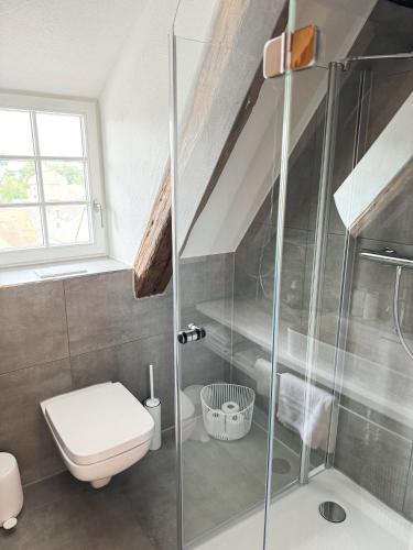 a bathroom with a toilet and a glass shower at Gasthaus Faust in Knittlingen