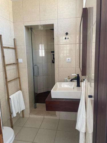 a bathroom with a sink and a shower at Casa Amarela in Cortegaça