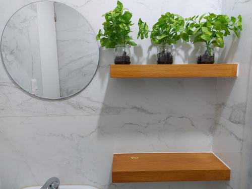 a bathroom with two shelves with plants and a mirror at Cozy Apartment in Cebu IT Park T2517 in Cebu City