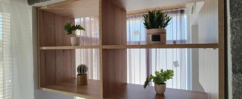 a wooden shelf with potted plants in a room at Студио Нико - Царево in Tsarevo