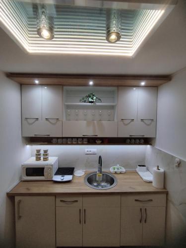 a kitchen with a sink and a microwave at Sweet Dreams in Gornji Milanovac