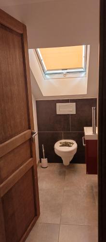 a bathroom with a toilet and a sink with a skylight at L'ECUREUIL in Bousbach