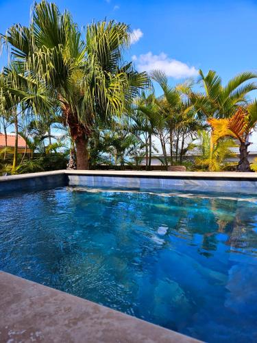 Fotografie z fotogalerie ubytování La Case des Palmistes 4 Etoiles, piscine jacuzzi, billard, et vue océan v destinaci Petite Ile