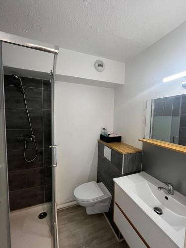 une salle de bain avec toilettes, lavabo et douche dans l'établissement Studio 306 - Gare - Arena - centre Reims, à Reims