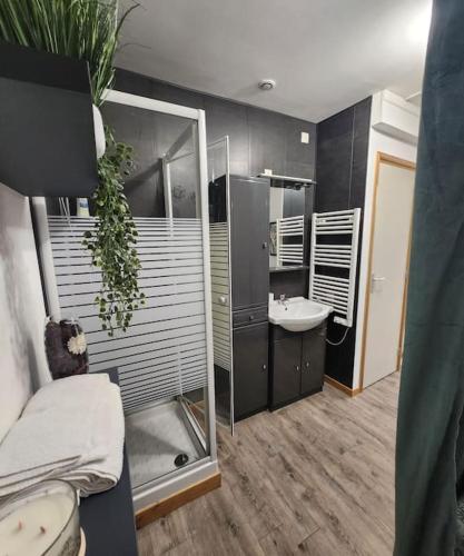 a bathroom with a sink and a mirror at La petite loge de l'ile in Nantes