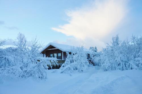 a house covered in snow with trees in front of it at Gesthus Selfoss in Selfoss