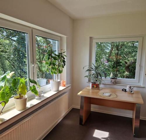 a room with two windows and a table with potted plants at Ferienwohnung Grüne Auszeit in Nideggen