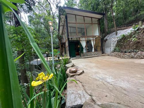 a building with a large window and yellow flowers at Enchanted Villa in Kandy