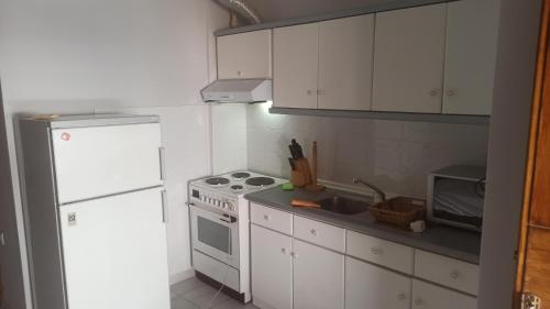 Kuchyň nebo kuchyňský kout v ubytování Center Nest