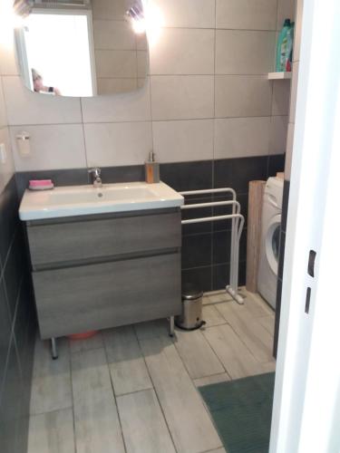 une salle de bain avec un lavabo et des toilettes dans l'établissement Superbe T 1 Greoux les Bains, à Gréoux-les-Bains