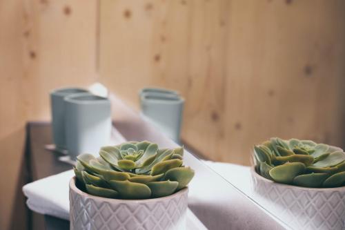 two potted plants sitting on top of a table at Frutigresort in Frutigen