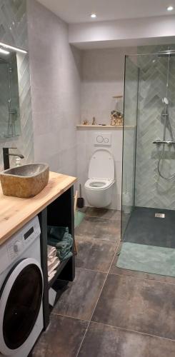 une salle de bain avec toilettes, lavabo et douche dans l'établissement Maison neuve jardin & terrasse, à Lanton