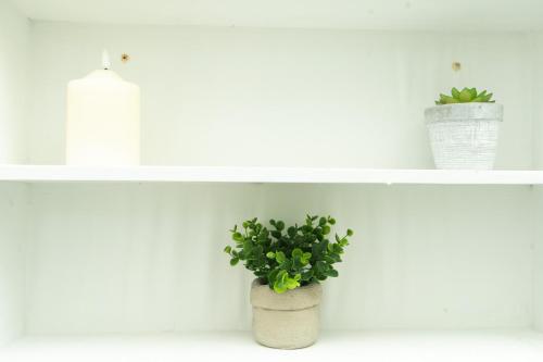 a white shelf with two potted plants on it at Puesta del Sol Guest House in San Andrés