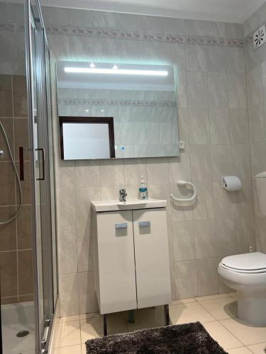 a bathroom with a toilet and a sink and a shower at Apartamento F.A in Pedrógão