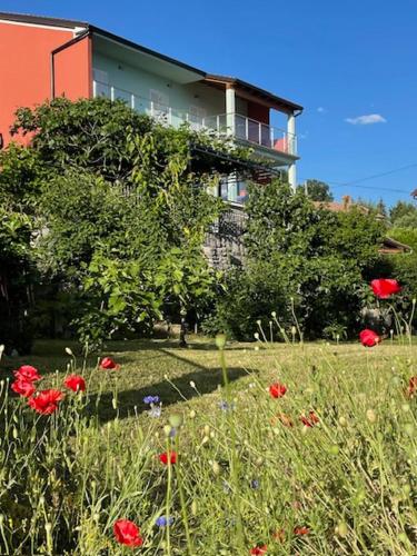 Apartman Danica