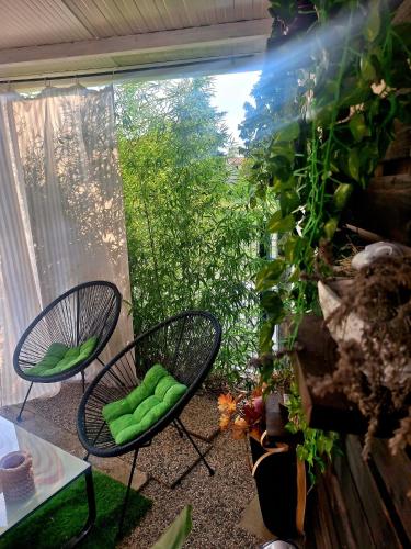 Zahrada ubytování Studio apartmani Louis i Lola