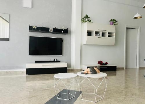 Μια τηλεόραση ή/και κέντρο ψυχαγωγίας στο Tanza in Vetrina 2024