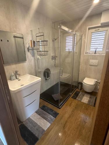 a bathroom with a shower and a sink and a toilet at Ferienhaus am Seepark -J&K in Goch