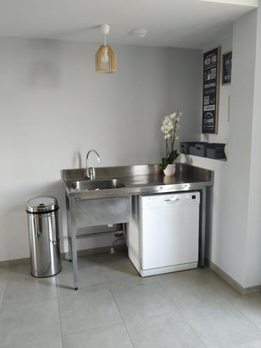 a stainless steel kitchen with a sink and a dishwasher at Les Caboches de Garanche in Charentay