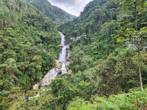 a waterfall in the middle of a forested mountain at Vista Farallones Hostel in Jardin
