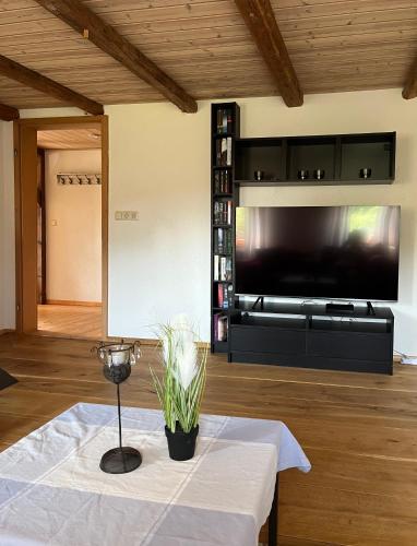 TV a/nebo společenská místnost v ubytování Ferienwohnung Metzner