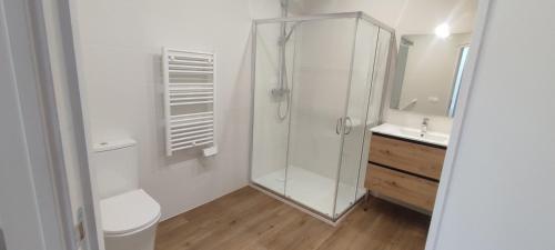 une salle de bain avec une douche, des toilettes et un lavabo dans l'établissement Appartement 1G 35m2 1 etage, à Saujon
