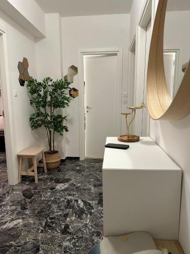 a room with a white counter and a plant at Eleonora's House in Trieste