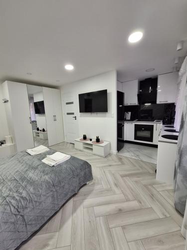 a white room with a bed and a kitchen at Apartament Premium Tarnów in Tarnów