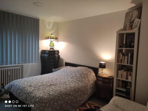ストラスブールにあるMurat appartement 3 piecesのベッドルーム(ベッド1台、ランプ、本棚付)
